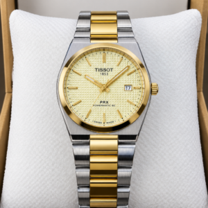 Luxury Two-Tone Gold and Silver Watch